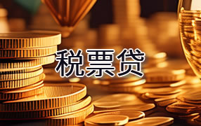 荷泽税票贷
